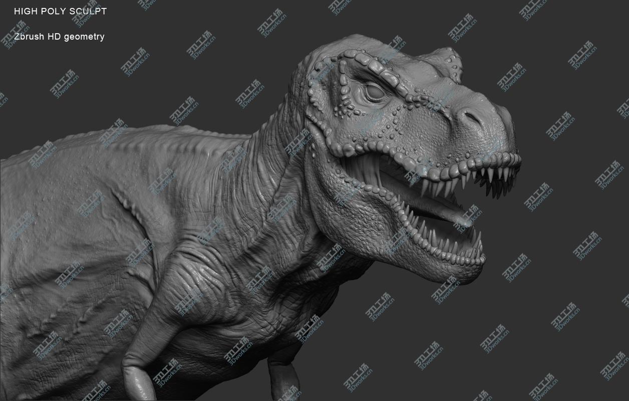 images/goods_img/202104091/Trex - Realistic/5.jpg